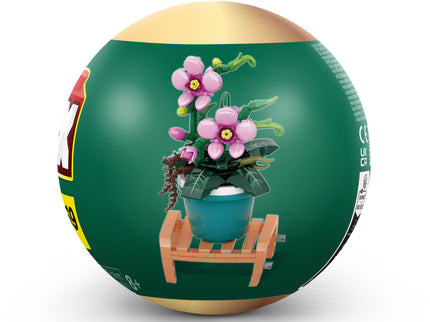 MAX GARDEN konstruktor kapslis Potitaimed