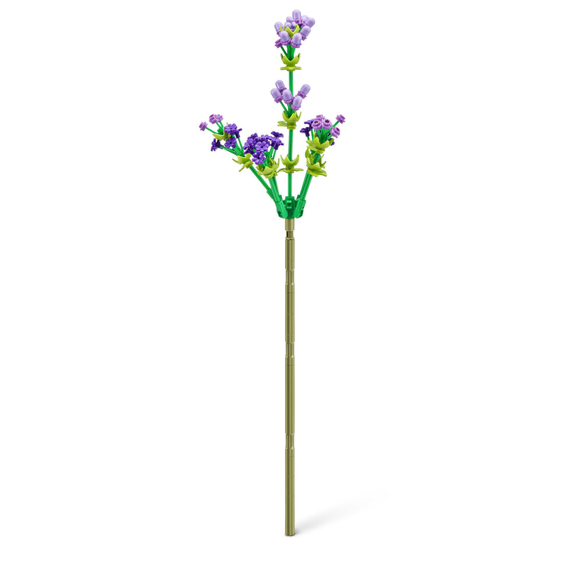 MAX ROSE konstruktori kapslid