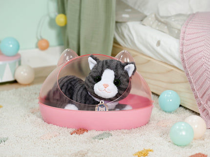 BABY BORN interaktiivne kass Cookie karbiga