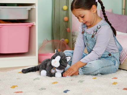 BABY BORN interaktiivne kass Cookie karbiga