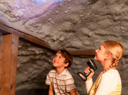 KLEIN Bosch Taskulamp