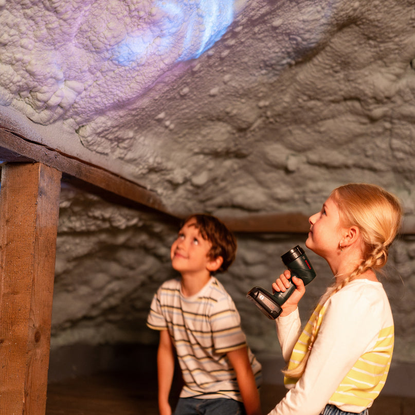 KLEIN Bosch Taskulamp