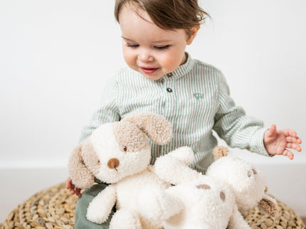 NATTOU Teddy pehme kaisukas koer, 24 cm