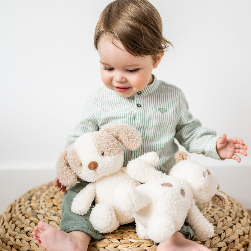 NATTOU Teddy pehme kaisukas koer, 24 cm