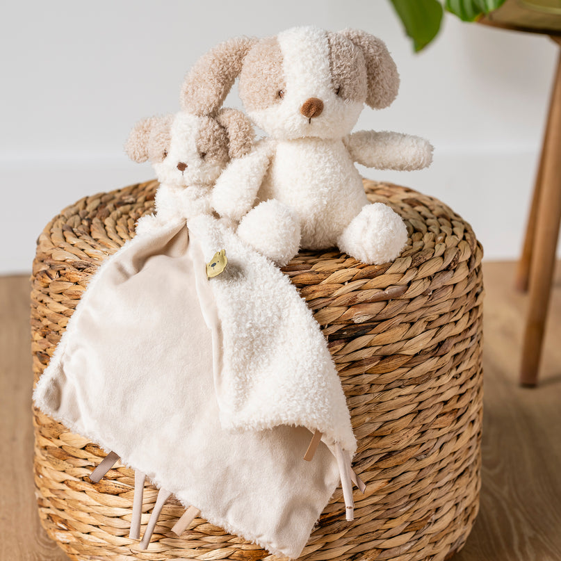 NATTOU Teddy pehme kaisukas koer, 24 cm