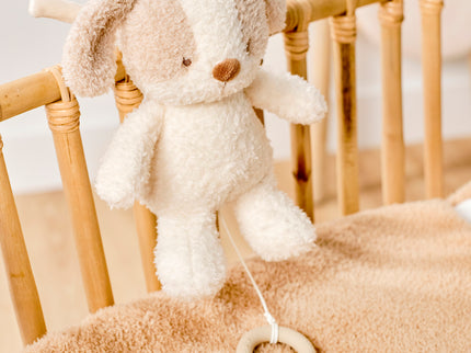 NATTOU Teddy Muusikaline beebimänguasi koer, 16 cm