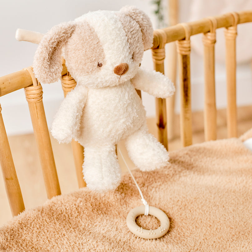NATTOU Teddy Muusikaline beebimänguasi koer, 16 cm