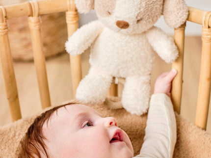 NATTOU Teddy Muusikaline beebimänguasi koer, 16 cm