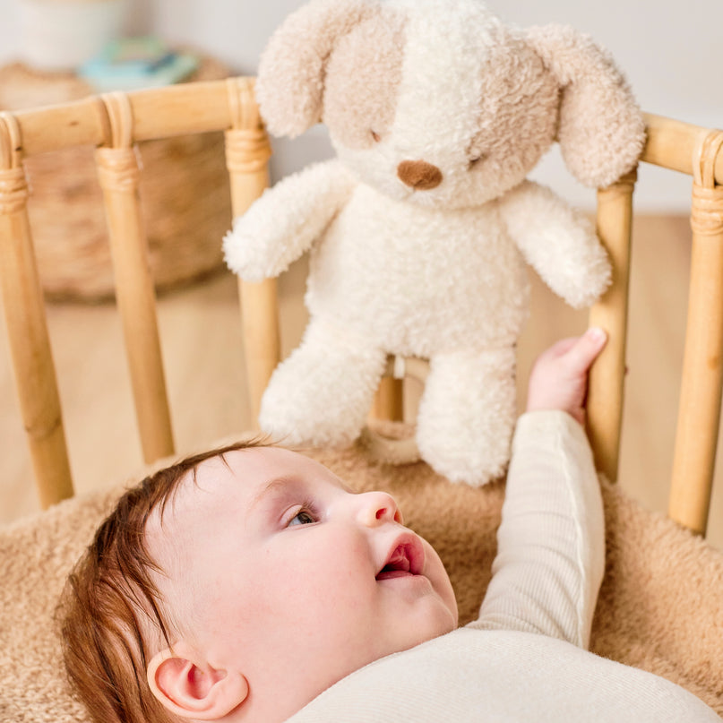 NATTOU Teddy Muusikaline beebimänguasi koer, 16 cm