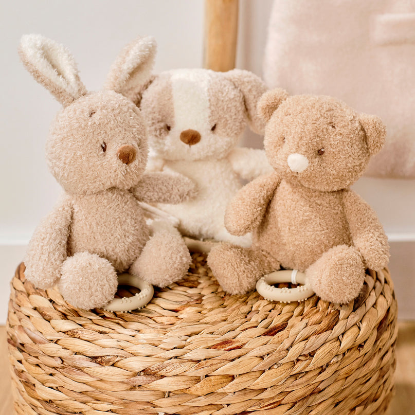 NATTOU Teddy Muusikaline beebimänguasi karu, 16 cm