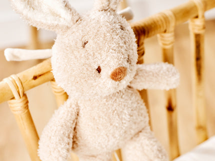 NATTOU Teddy Muusikaline beebimänguasi jänku, 16 cm