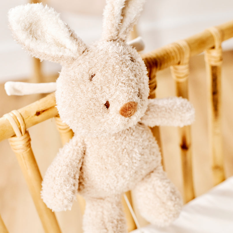 NATTOU Teddy Muusikaline beebimänguasi jänku, 16 cm