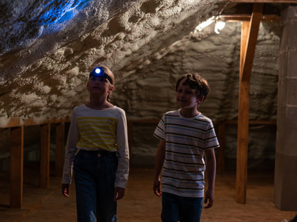 KLEIN Boschi pealambi