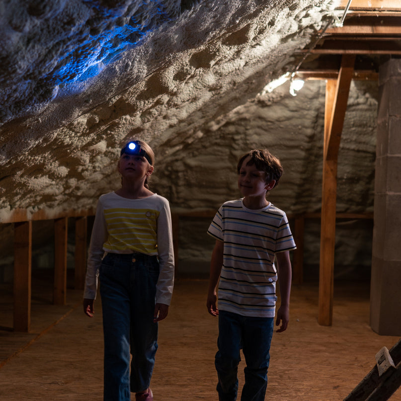 KLEIN Boschi pealambi