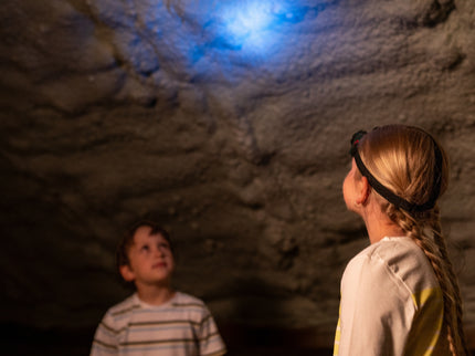 KLEIN Boschi pealambi