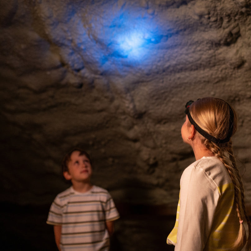 KLEIN Boschi pealambi