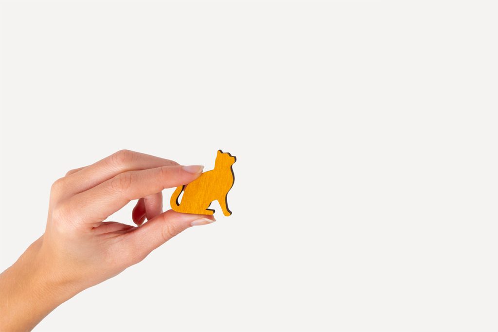 VIIMASED MÄNGUASJAD Loogikamäng Loomad