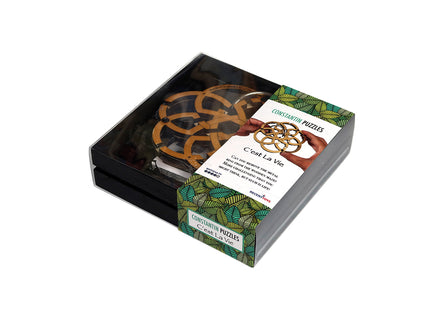 RECENT TOYS Loogikamäng C´est La Vie