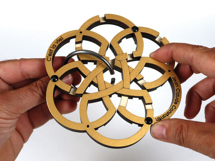 RECENT TOYS Loogikamäng C´est La Vie