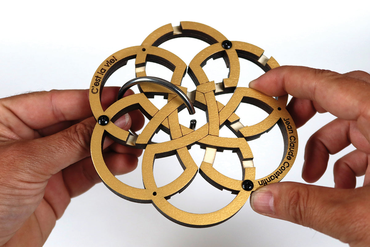 VIIMASED MÄNGUASJAD Loogikamäng C´est La Vie