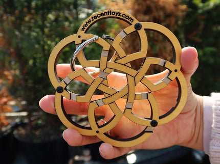 RECENT TOYS Loogikamäng C´est La Vie