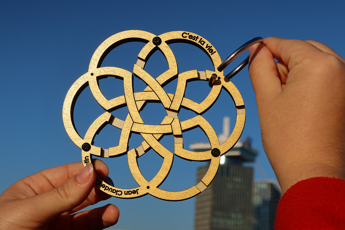 VIIMASED MÄNGUASJAD Loogikamäng C´est La Vie