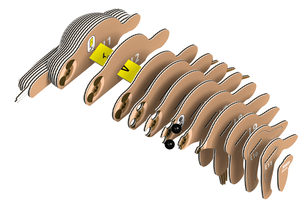 EUGY 3D kokkupandav mudel, Laiskloom