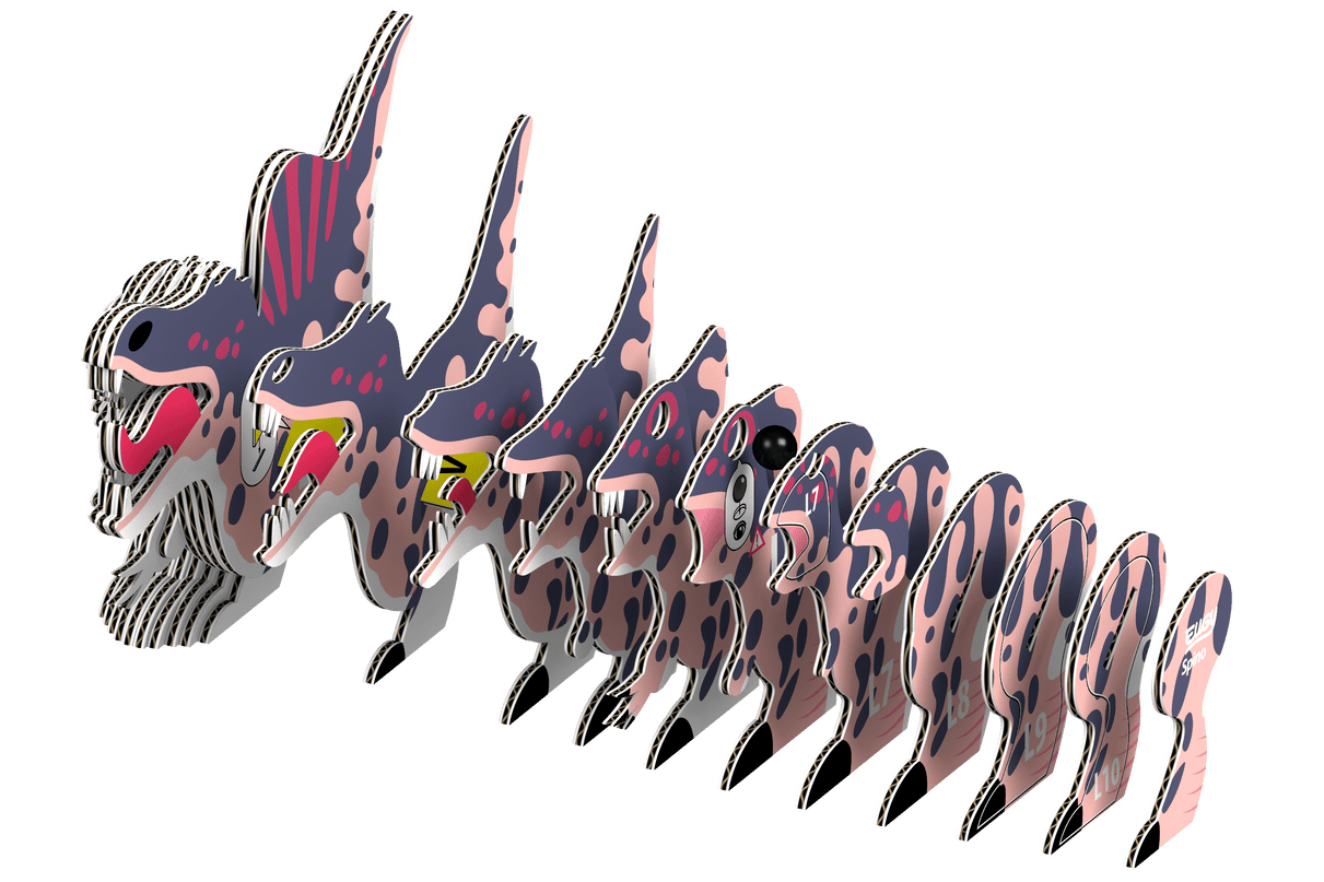 EUGY 3D kokkupandav mudel, Spino