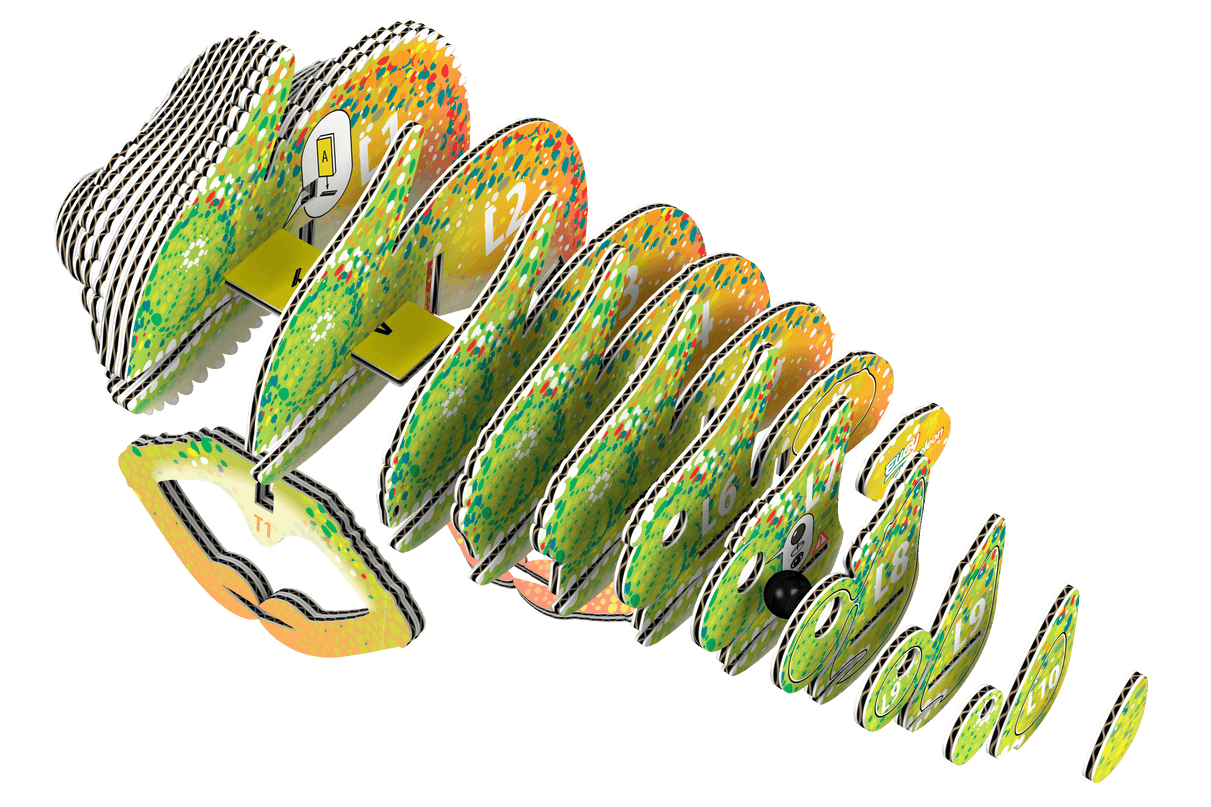 EUGY 3D kokkupandav mudel, Kameelion