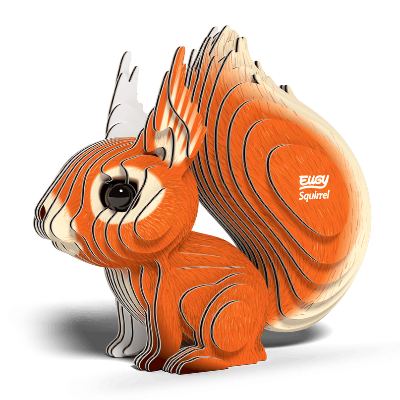EUGY 3D kokkupandav mudel, Orav