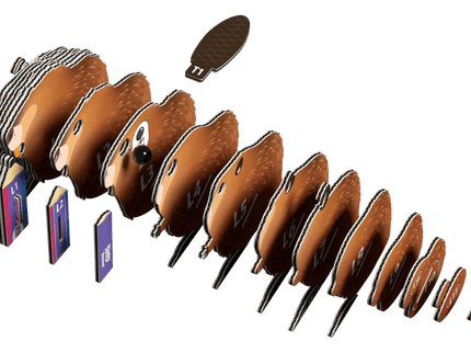 EUGY 3D kokkupandav mudel, Kobras