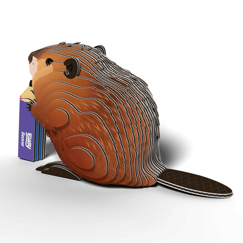 EUGY 3D kokkupandav mudel, Kobras