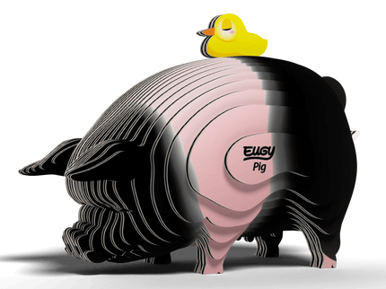 EUGY 3D kokkupandav mudel, Siga