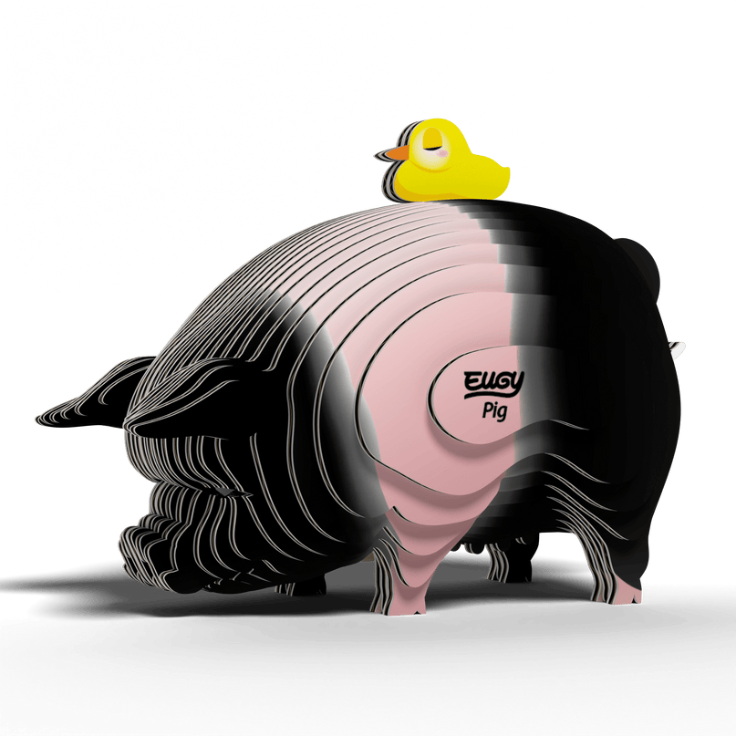 EUGY 3D kokkupandav mudel, Siga