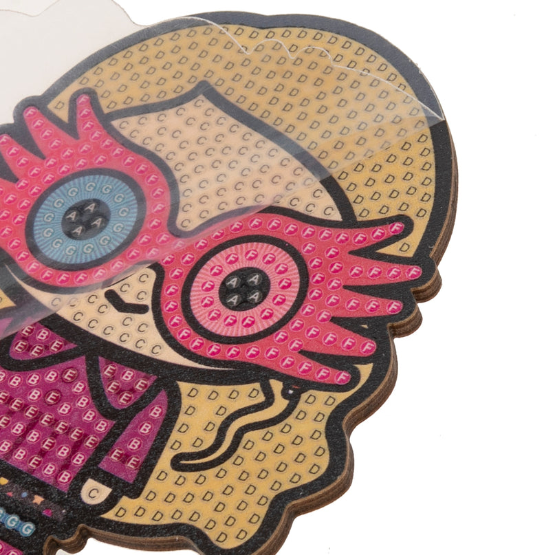 HARRY POTTER 3D Teemantpilt Luna Lovegood