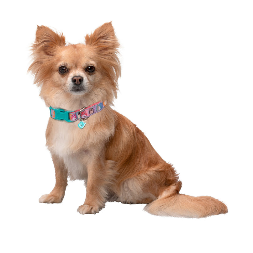 SQUISHMALLOWS koera kaelarihm, väike