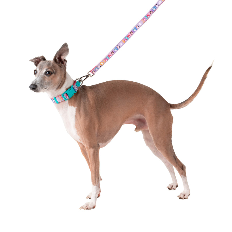 SQUISHMALLOWS koera kaelarihm, väike