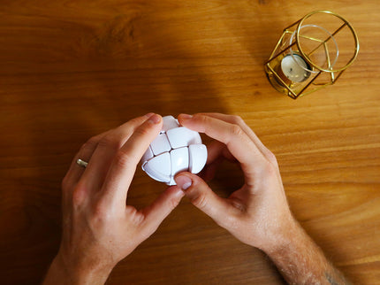 RECENT TOYS Loogikamäng Morph’s Egg