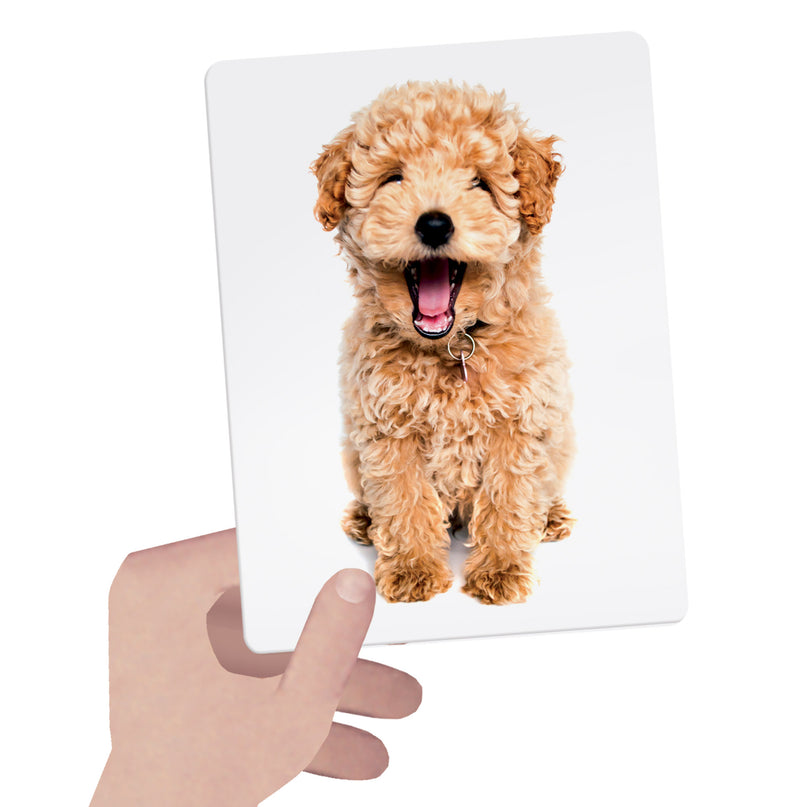 HEADU Montessori kaardid