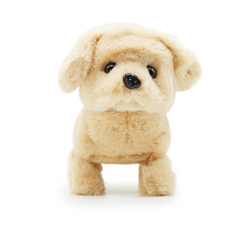 PUGS AT PLAY Kõndiv koer Goldie