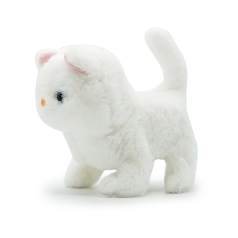 PUGS AT PLAY Kõndiv kass Casper