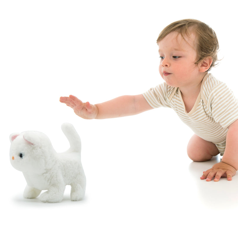 PUGS AT PLAY Kõndiv kass Casper