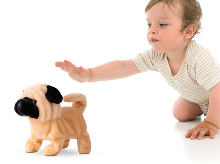 PUGS AT PLAY Kõndiv koer Peanut