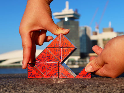 RECENT TOYS Loogikamäng Dynacube