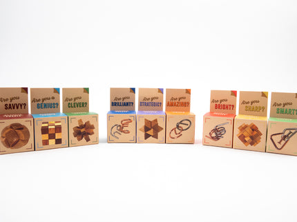 RECENT TOYS Loogikamäng "Are You Series"