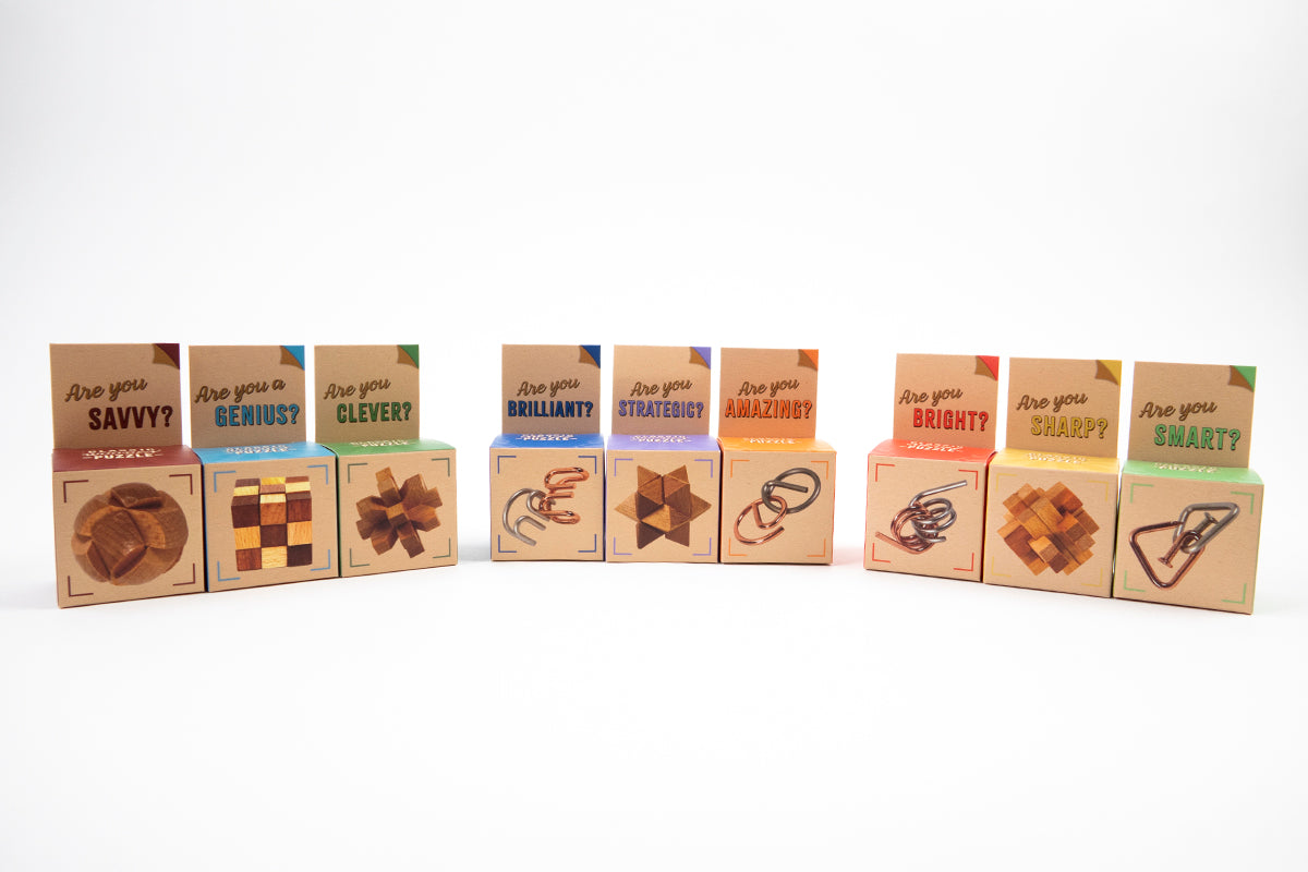 RECENT TOYS Loogikamäng "Are You Series"