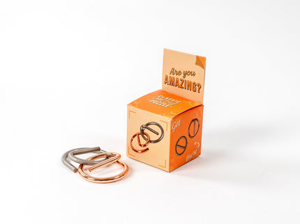 RECENT TOYS Loogikamäng "Are You Series"