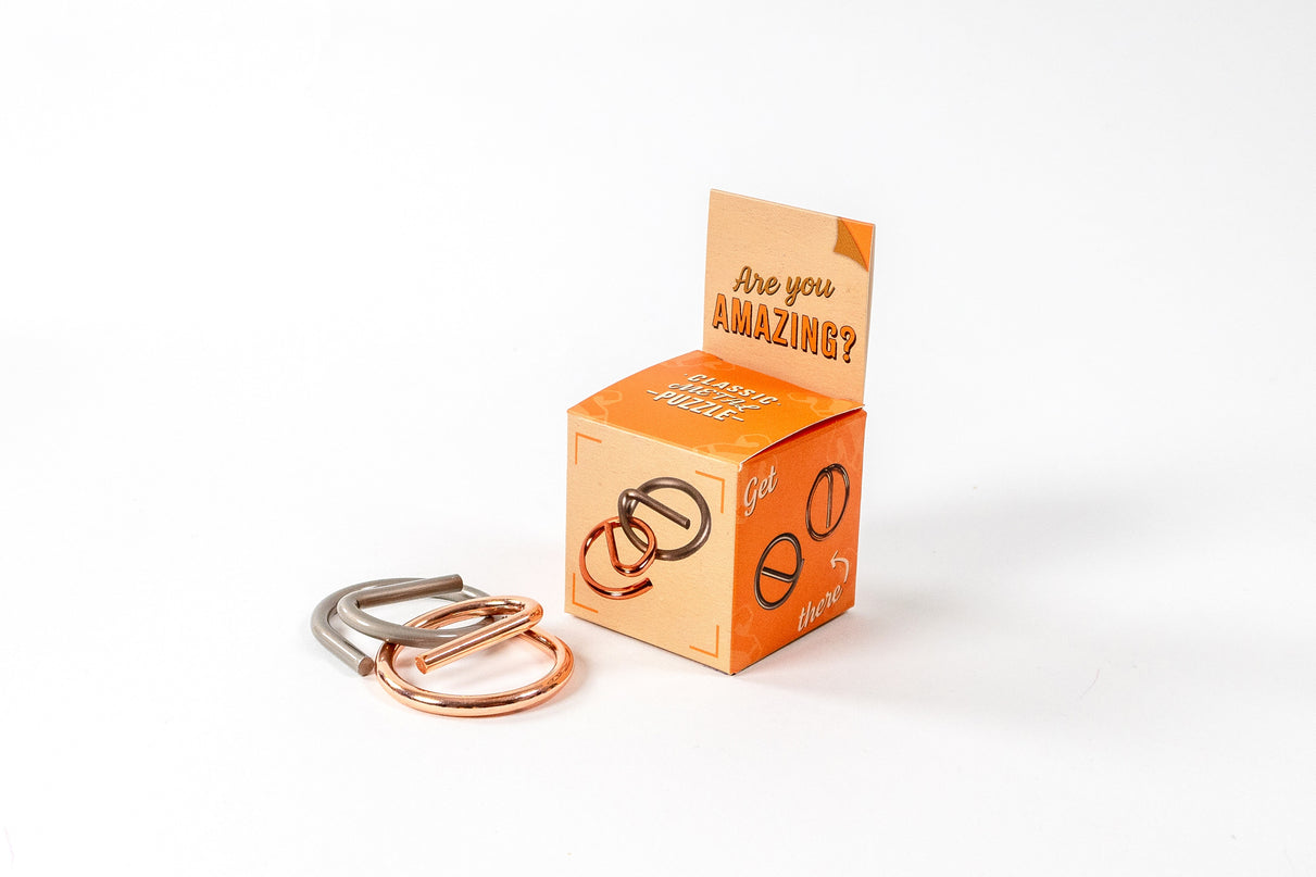 RECENT TOYS Loogikamäng "Are You Series"