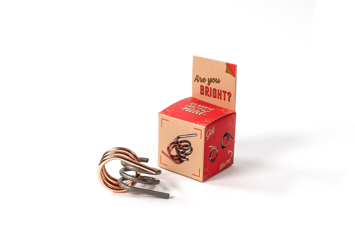 RECENT TOYS Loogikamäng "Are You Series"