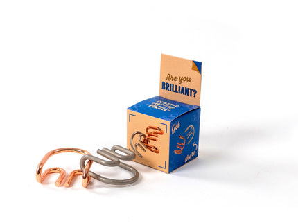 RECENT TOYS Loogikamäng "Are You Series"